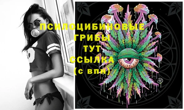 не бодяженный Заводоуковск