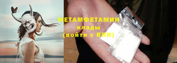 сатива Верея