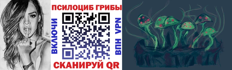 KRAKEN онион  Карабаново  Псилоцибиновые грибы Psilocybine cubensis 